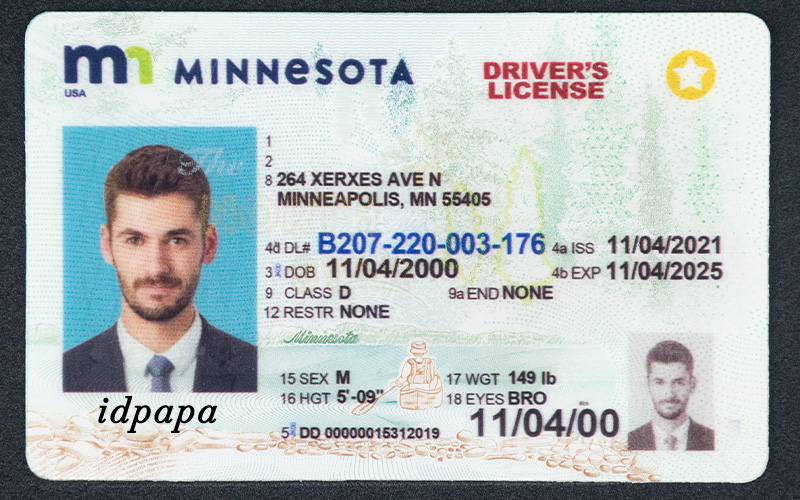 Novelty Minnesota driver’s license with a male photo, ID number B207-220-003-176, and expiration date 11/04/2025